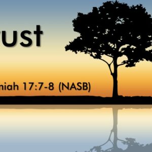 4-28-2024 Jeremiah 17:7-8 “Trust”; Pastor Randy Vinson, Lead Pastor