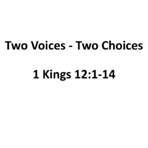 1-19-25 1 Kings 12:1-14 “Two Voices – Two Choices” Barry Brunke, guest speaker